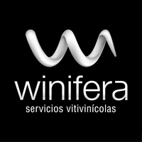 Winifera